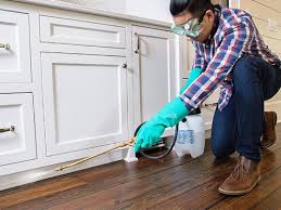 Best Real Estate Pest Inspections  in Lantana, TX